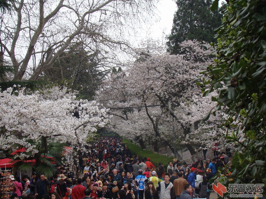 DSC04075.JPG