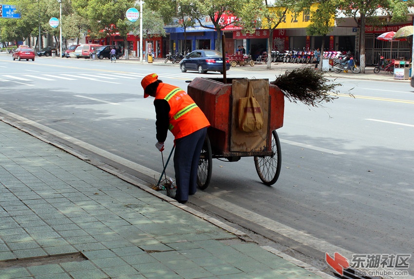 丹江口的城市美容师.jpg