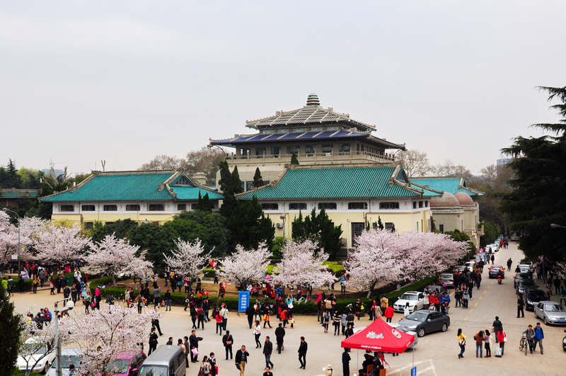 DSC_2619——1.jpg