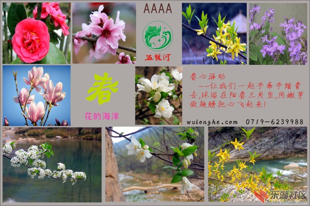 春-花.jpg
