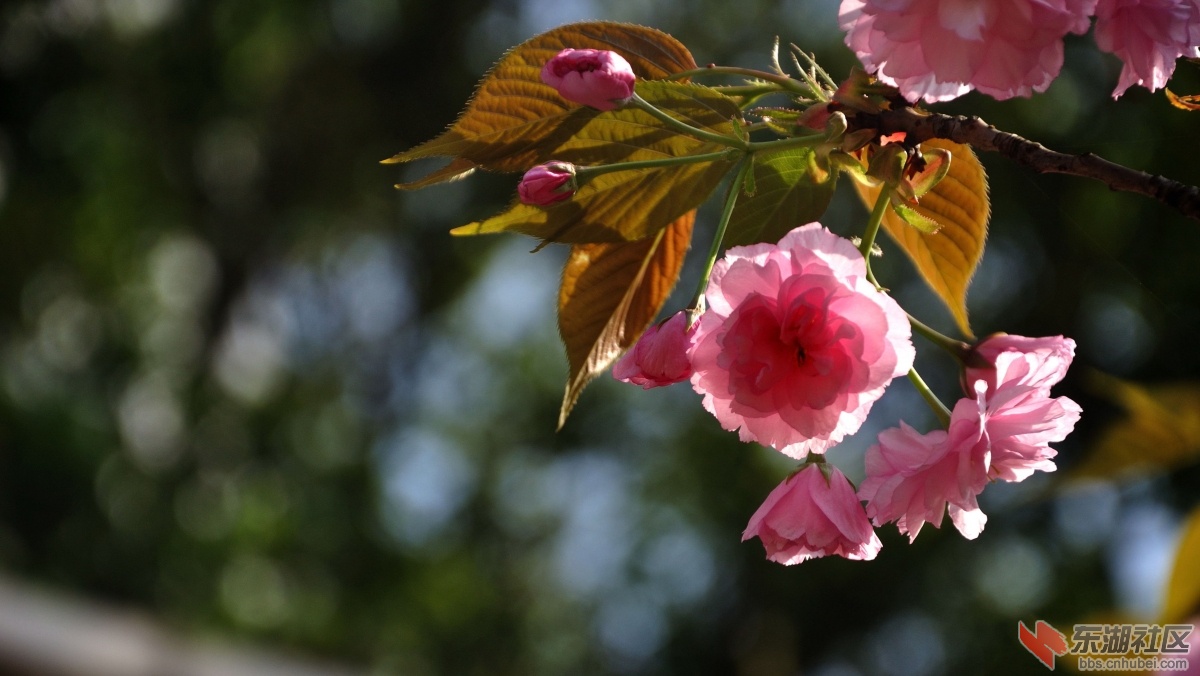 DSC_0907.jpg