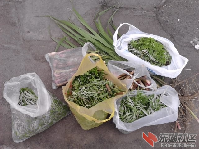 P240313_11.40.jpg