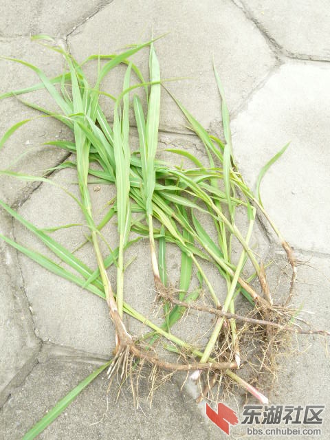 P2030562.JPG