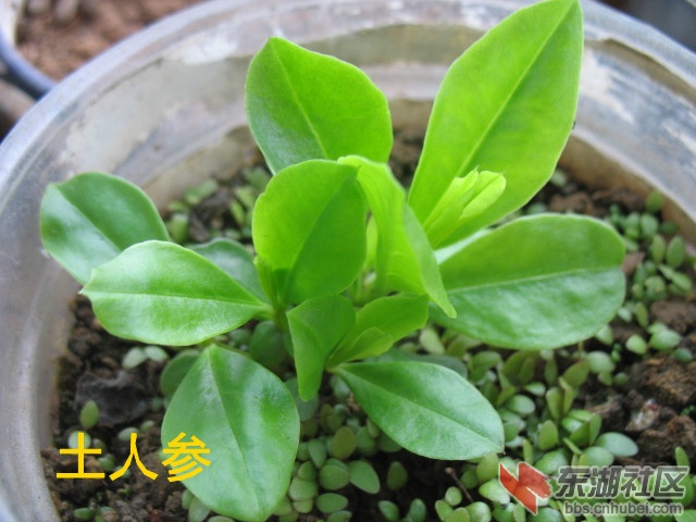 IMG_0762_副本.jpg