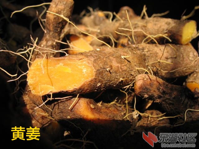nEO_IMG_IMG_2081_副本.jpg