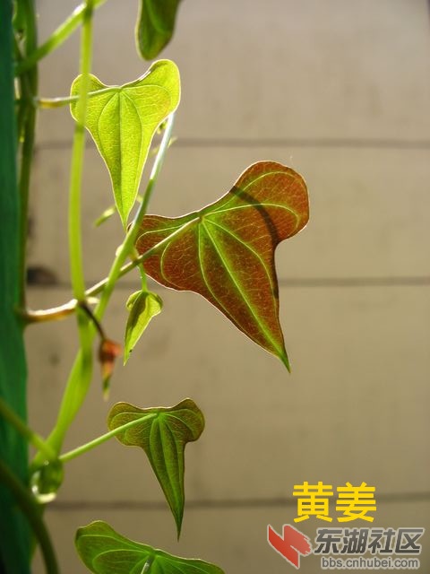 nEO_IMG_IMG_2101_副本.jpg