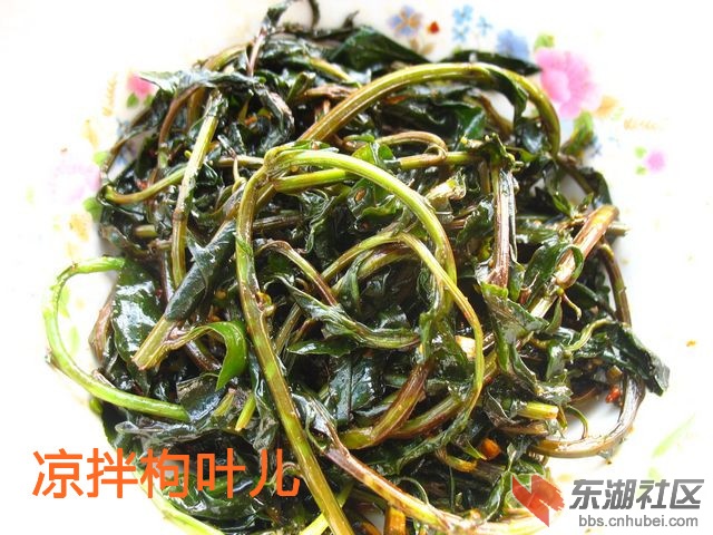 照片 008_副本.jpg
