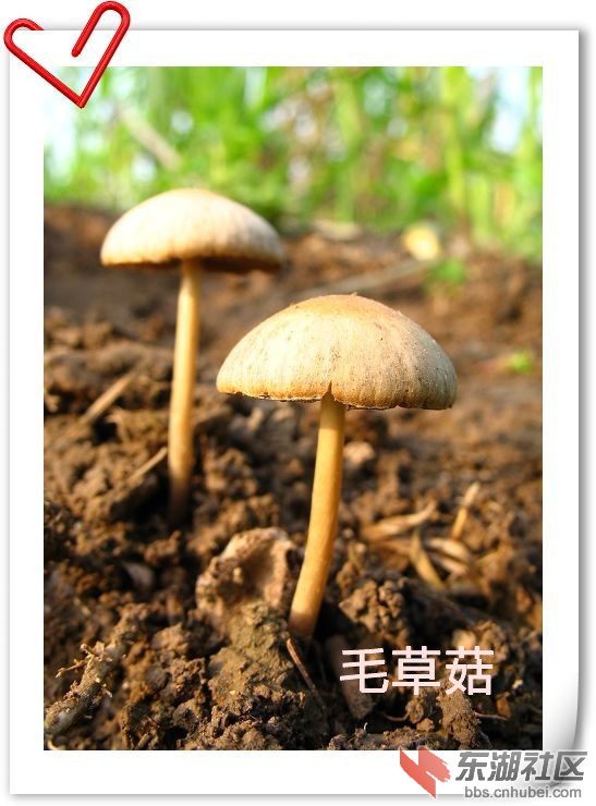 nEO_IMG_照片 108_副本.jpg