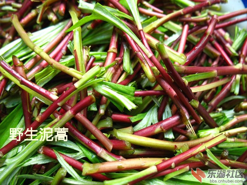 nEO_IMG_照片 264_副本.jpg