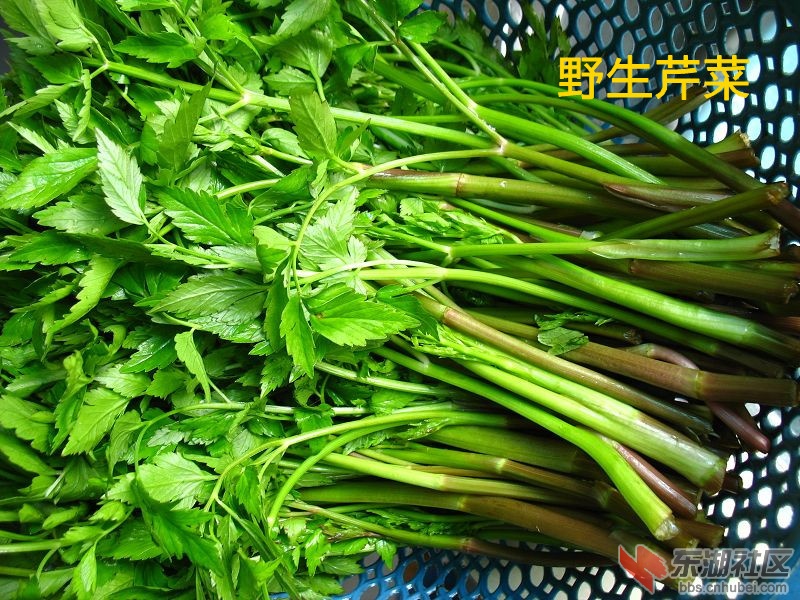nEO_IMG_照片 268_副本.jpg