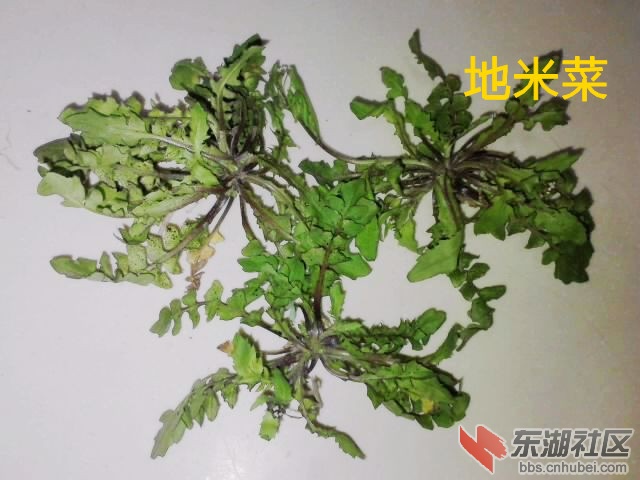P180313_18.57_副本.jpg