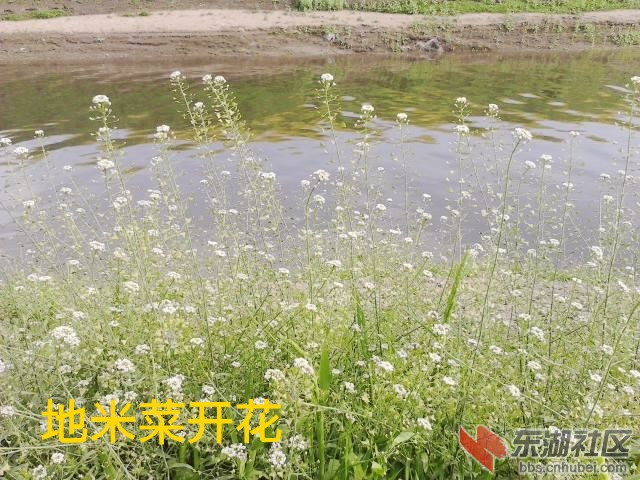 P180313_15.29_副本.jpg
