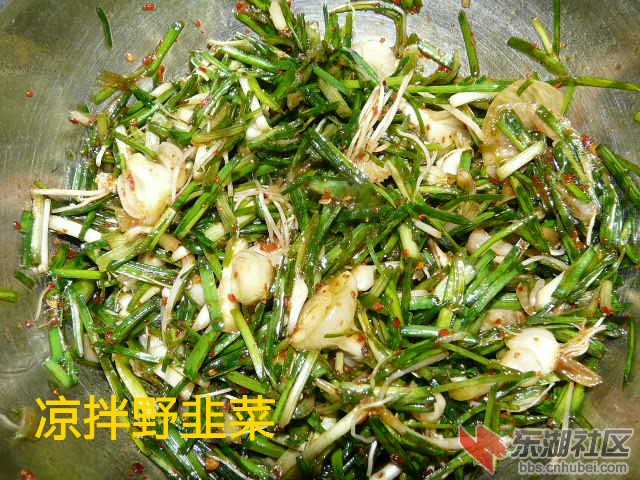 P1870235_副本.jpg