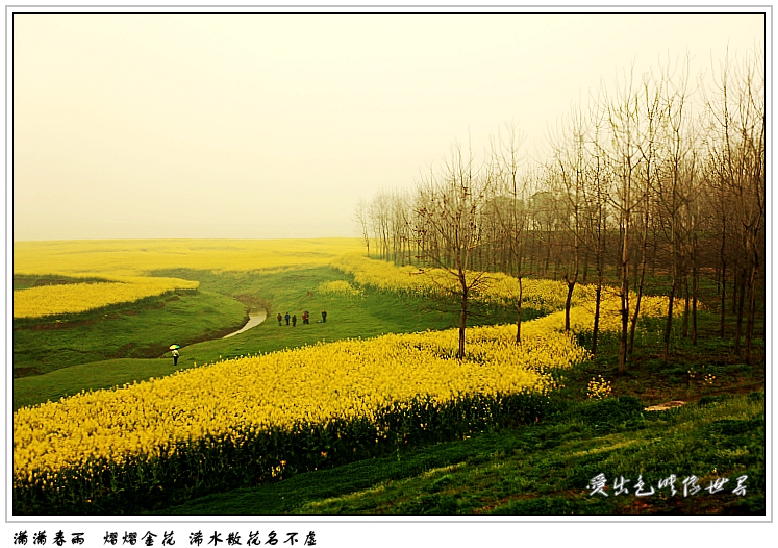 IMG_7306_conew1.jpg