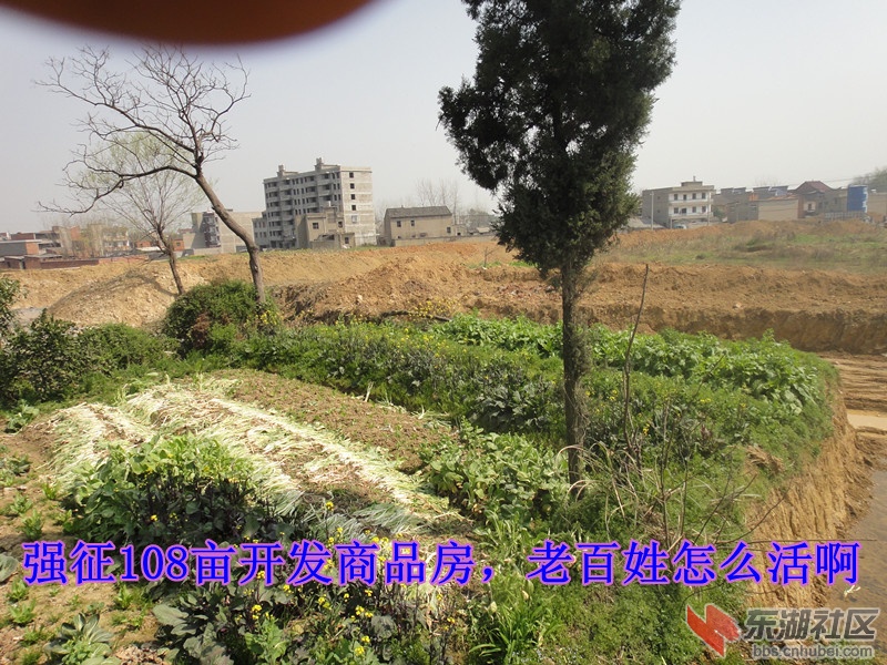 DSC00336_副本.jpg