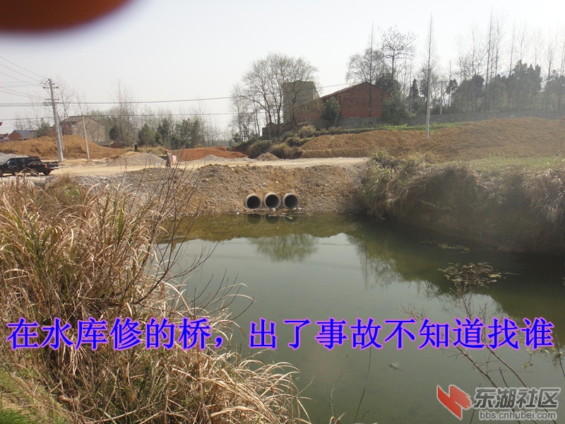DSC00349_副本.jpg