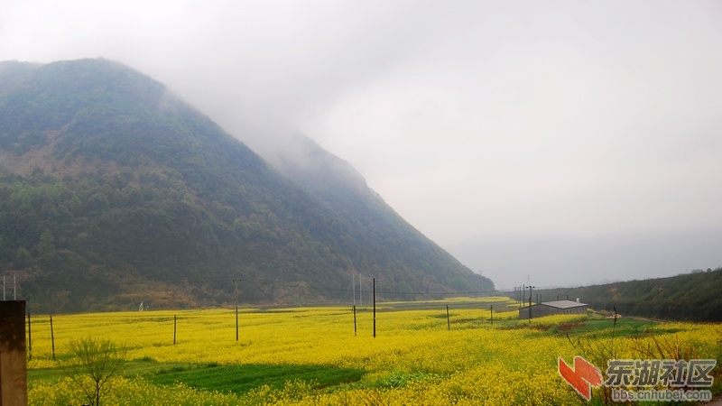 大冶山里.jpg
