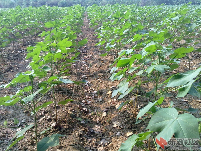 201207111041.jpg