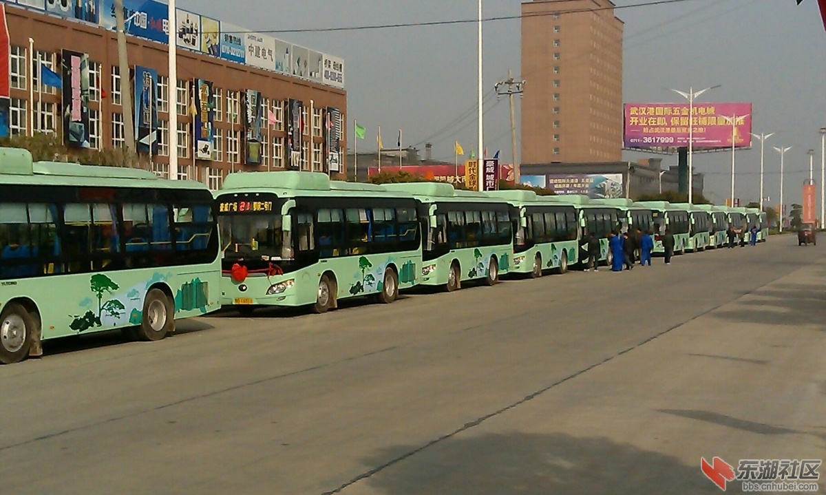 IMAG0089-1.jpg
