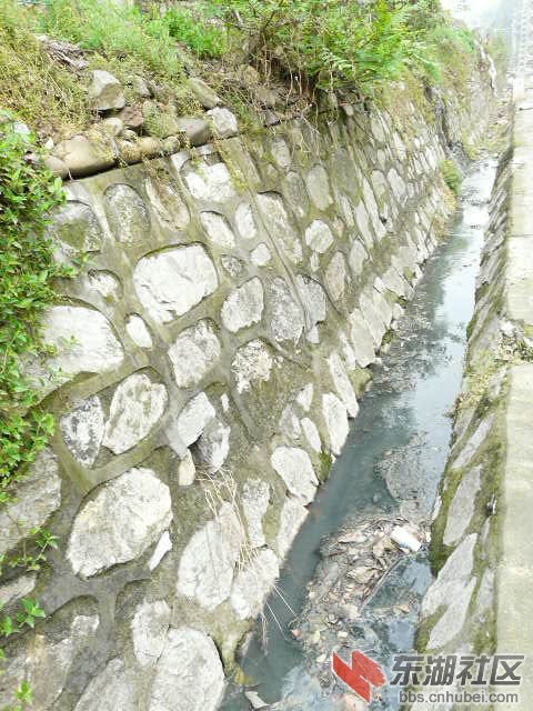 P2030582.JPG