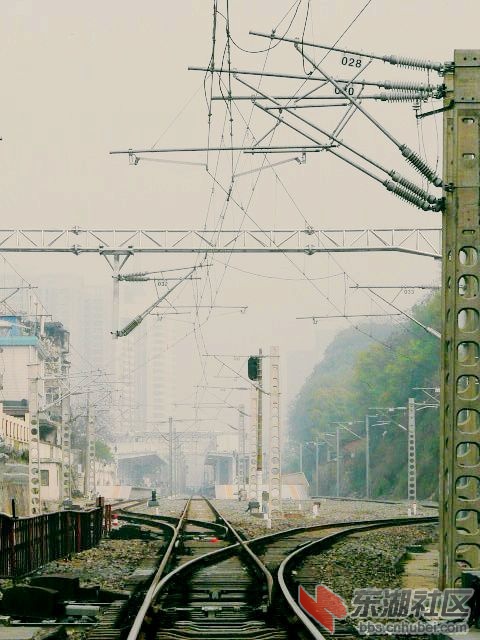 P2030589.JPG