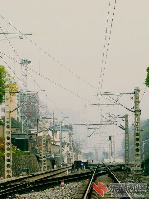 P2030584.JPG