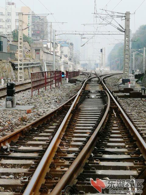 P2030585.JPG