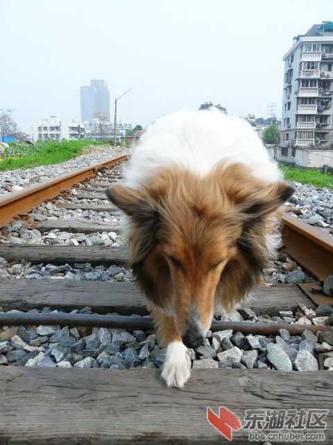 P2030632.JPG