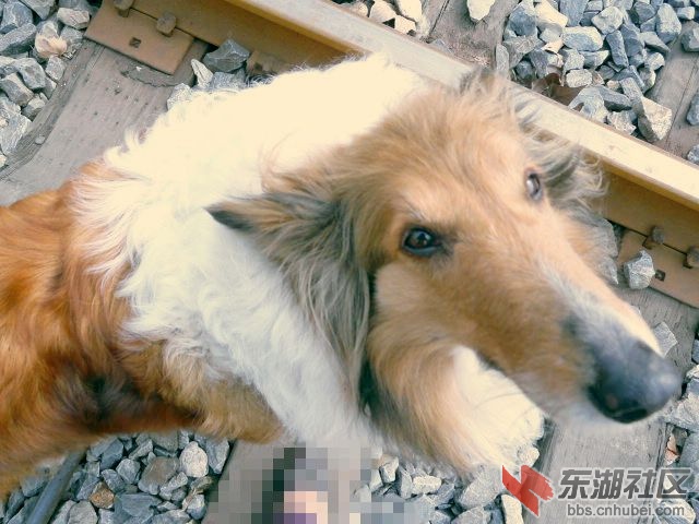 P2030629_副本.jpg