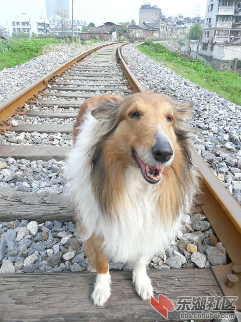 P2030631.JPG