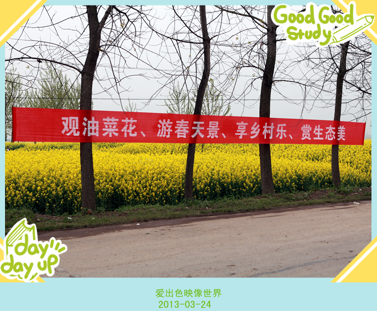 IMG_8049_副本800.jpg