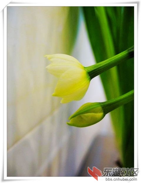 nEO_IMG_照片 226.jpg