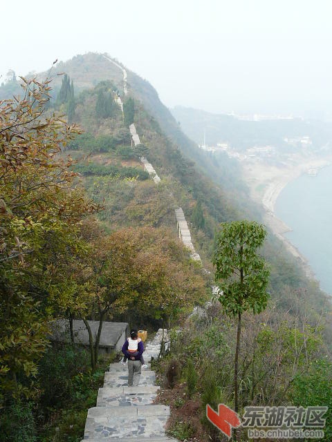 P1780749.JPG