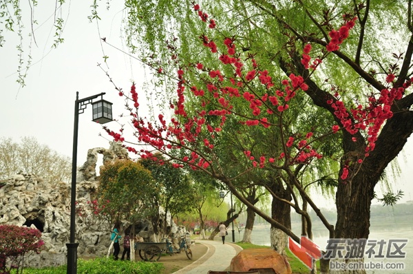 地址①：前进路与人民路交汇处(天丽家居正对面)