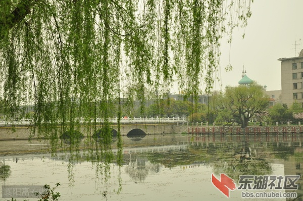 地址①：前进路与人民路交汇处(天丽家居正对面)