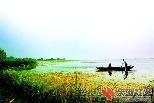 梁子湖.jpg