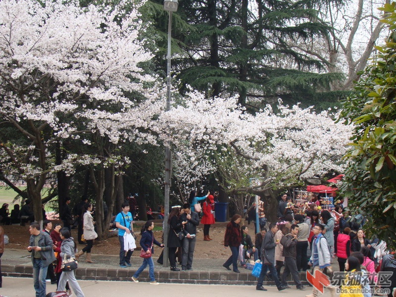 DSC04091.JPG