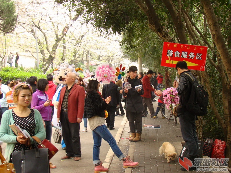 DSC04007.JPG