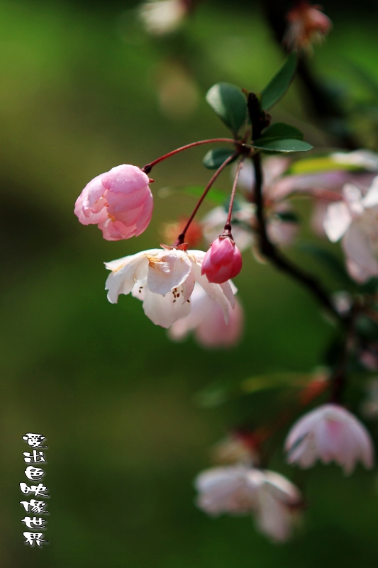 IMG_8394_conew2.jpg