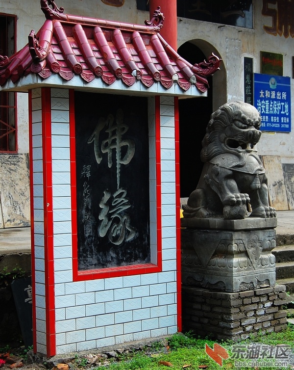 佛缘.jpg