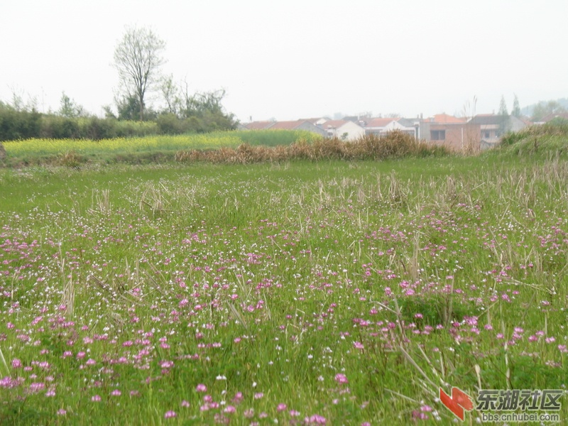 IMG_3822.JPG