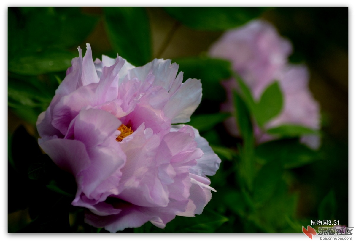 DSC_0095.JPG