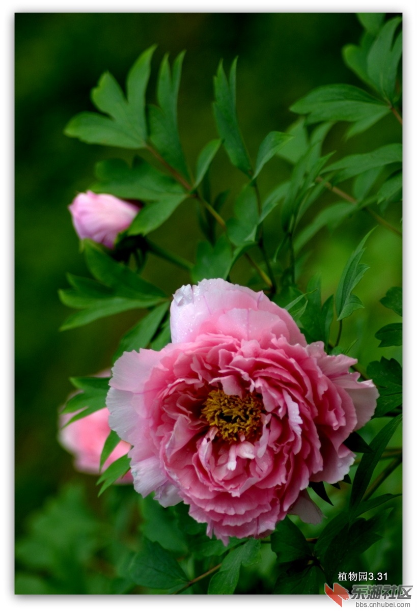 DSC_0099.JPG