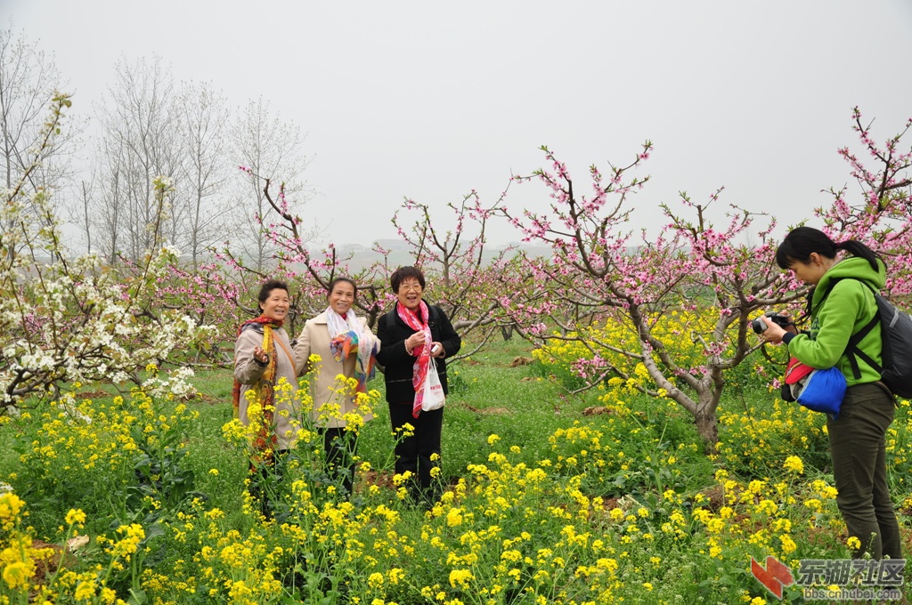 DSC_4113_副本.jpg