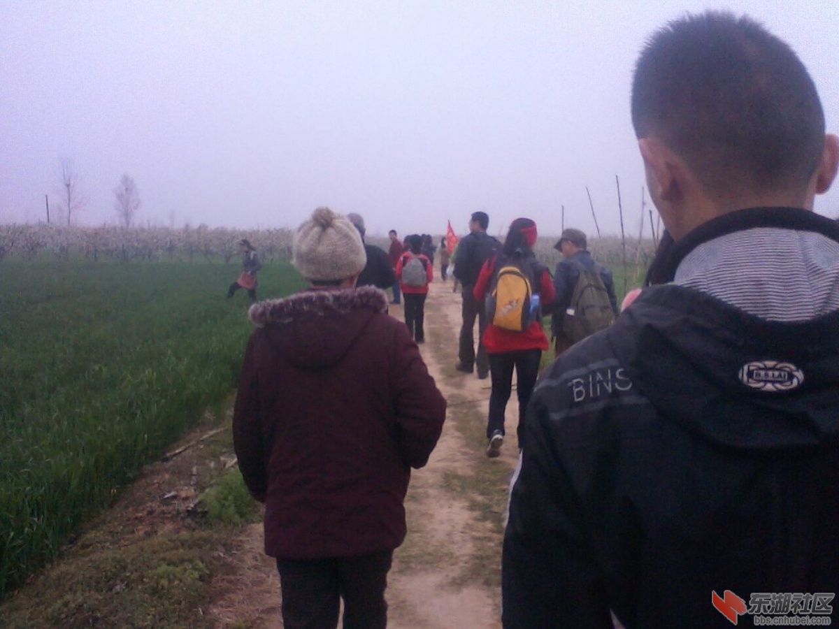 IMG0611A.jpg