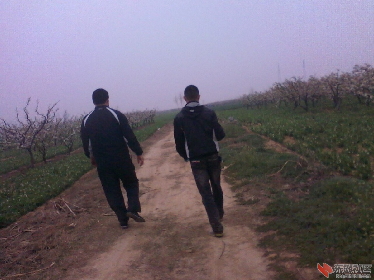 IMG0622A.jpg