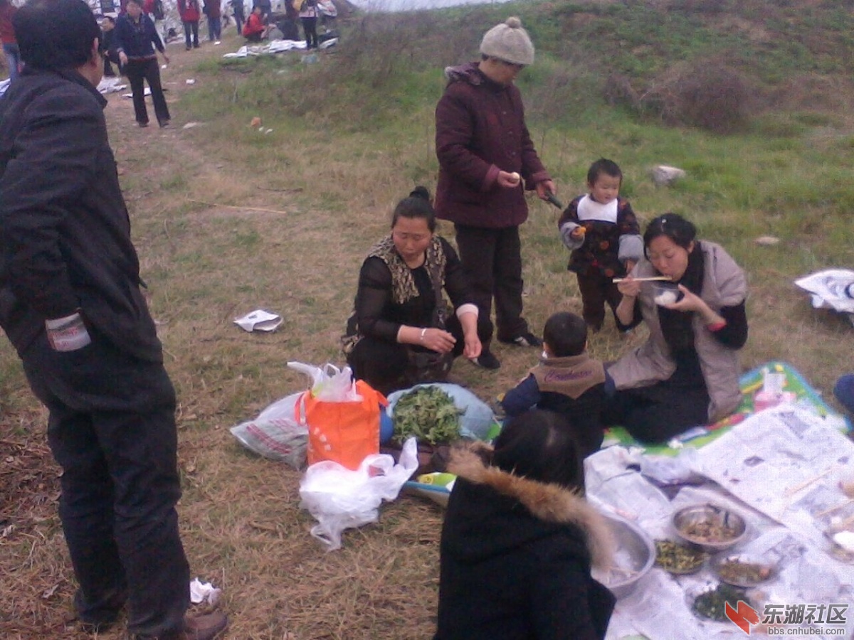IMG0670A.jpg