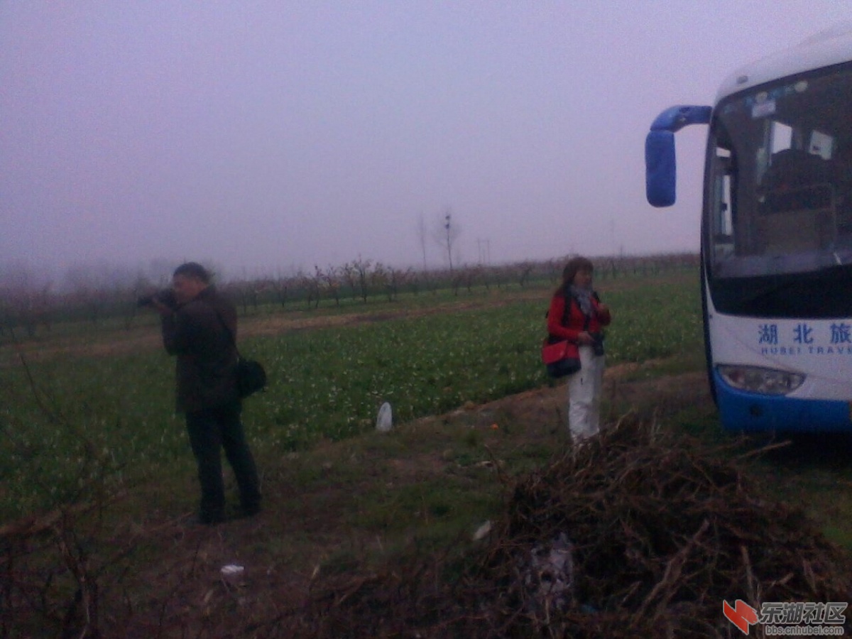 IMG0690A.jpg