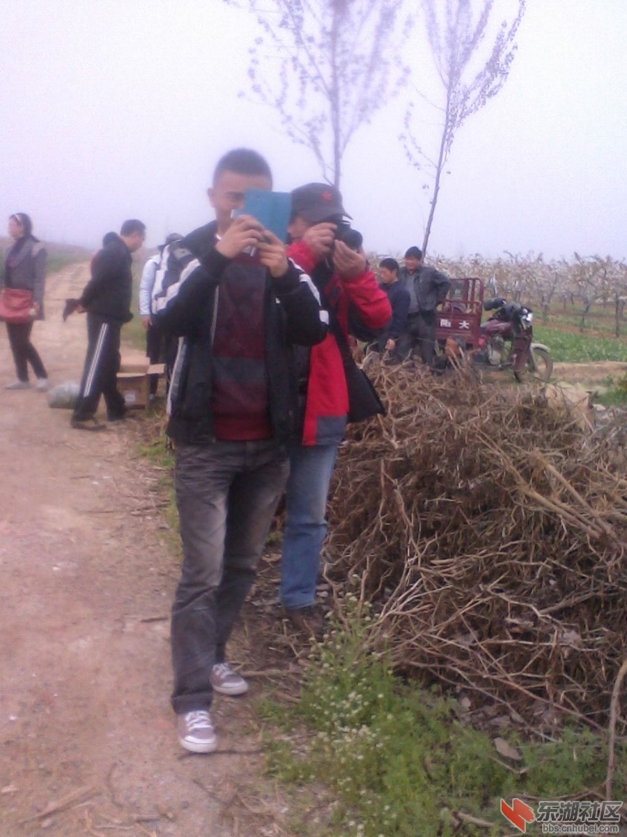 IMG0696A.jpg