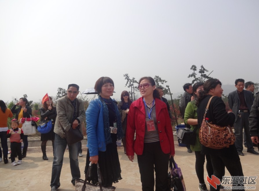 QQ截图20130331170203.jpg